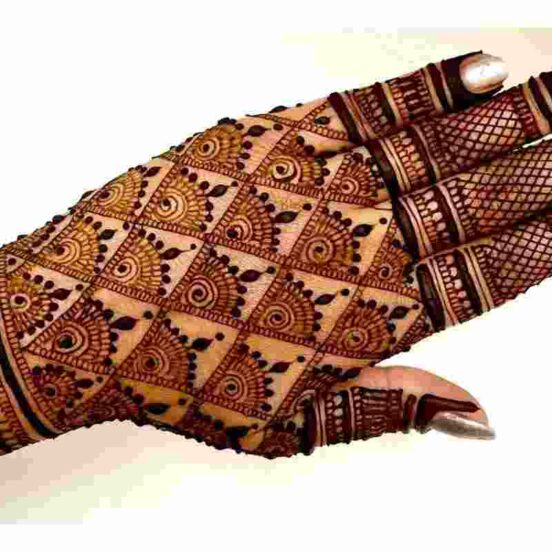 Back Hand Mehndi Design Net Style (19)
