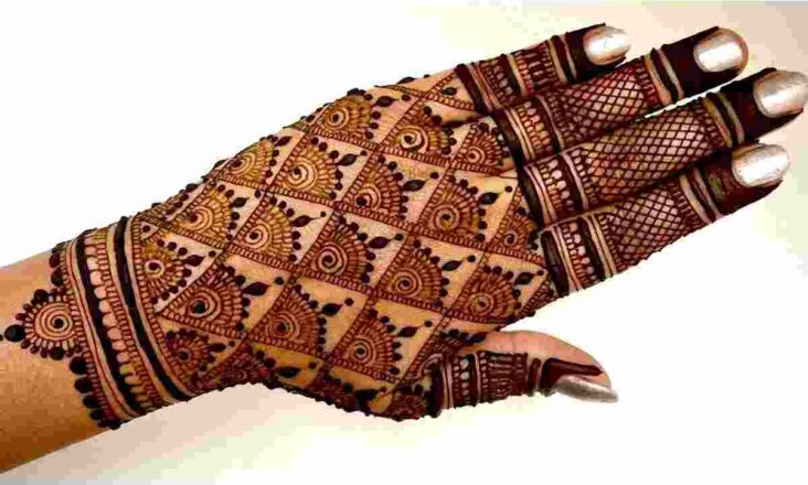Back Hand Mehndi Design Net Style (19)
