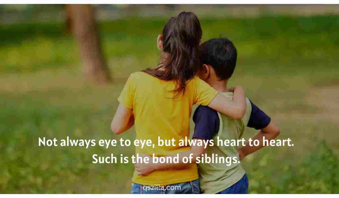 Bhai Ke Liye Shayari in English (6)