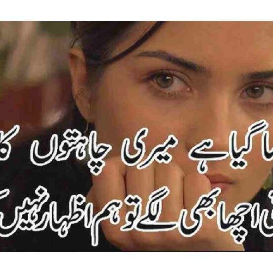 Heart-Touching Sad Poetry in Urdu (12)
