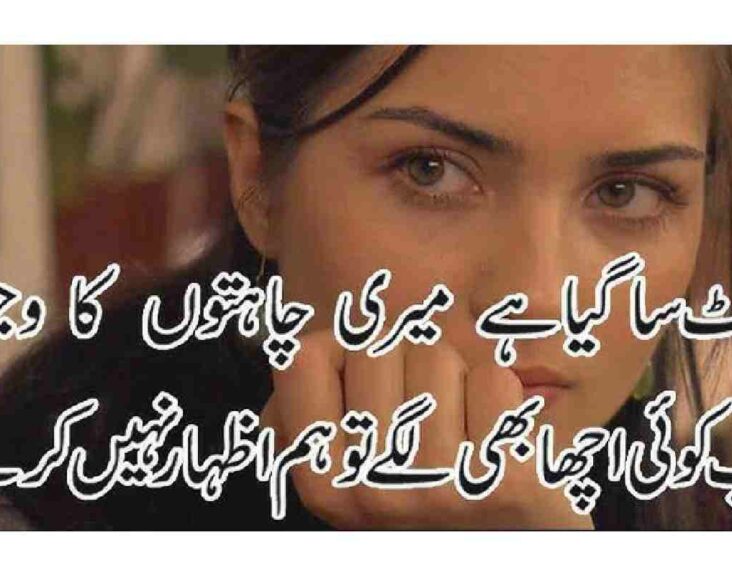 Heart-Touching Sad Poetry in Urdu (12)