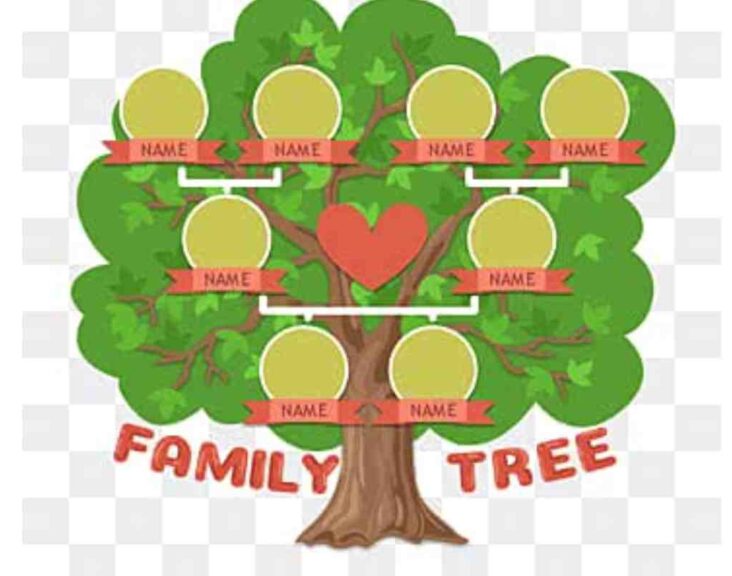 family tree drawing for school project